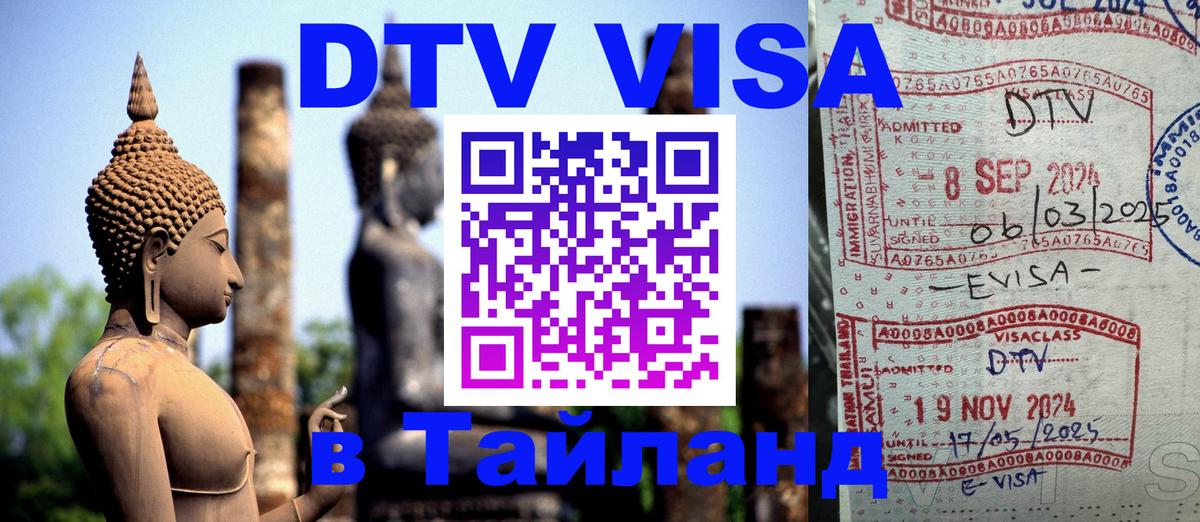 Оформление DTV визы под ключ: стоимость и тарифы, только загранпаспорт - Рыбинск  03.10.2025 